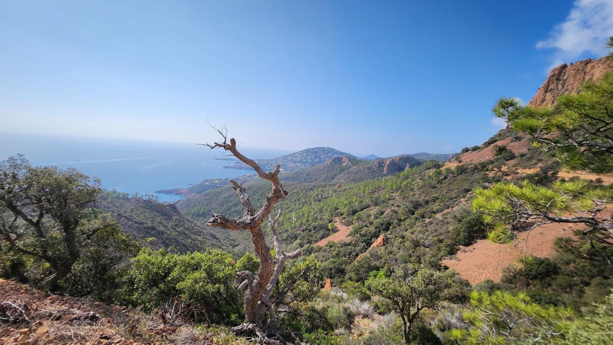 Saint-Raphael- Vue Mer Et Massif De L'Esterel Exterior foto